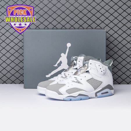 Air Jordan 6 Cool Grey CT8529-100 Men's