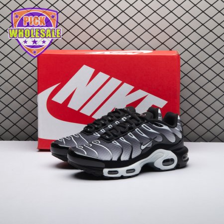 Nike Air Max Plus Black Silver White DM0032-003 Unisex